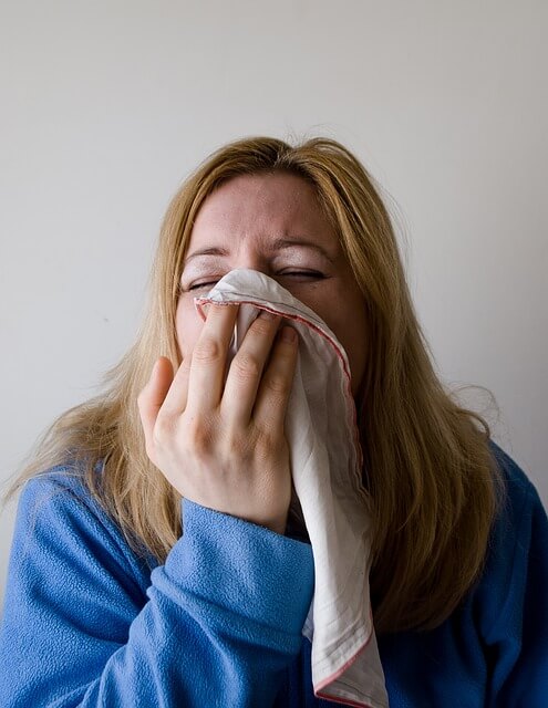 sinus