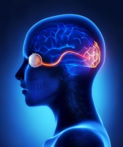 eye problems with ms
